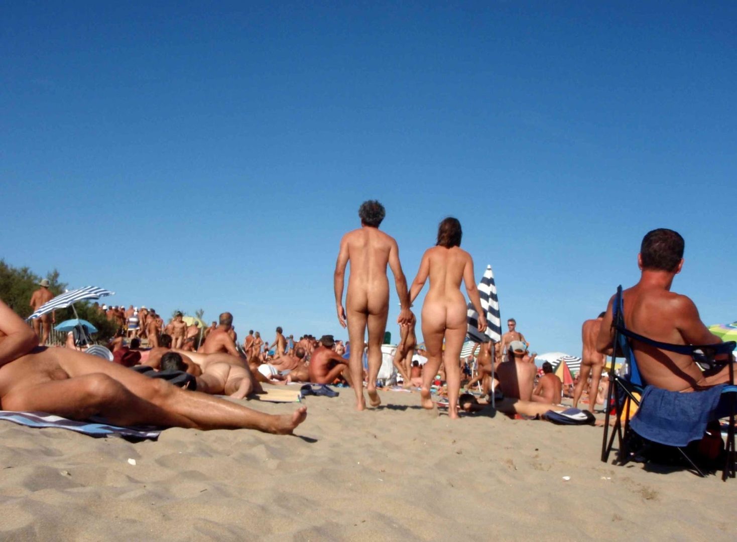 пляжи голыми людьми фото 109